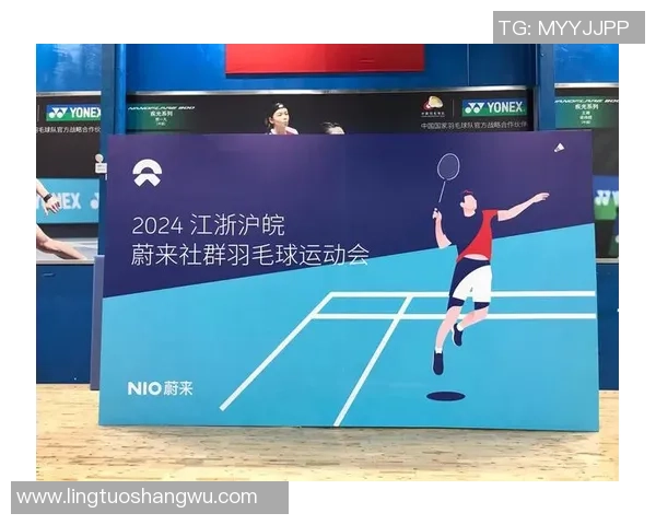 南京羽毛球队状态分析与未来展望聚焦羽毛球竞技的热情与挑战